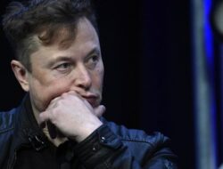 Alm ost Giving Up, Elon Musk Considers Blocking Europe. What’s the Story?