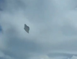 Bagaimana Cara Melaporkan Sighting UFO atau Eksistensi Alien kepada Pihak Militer Amerika?