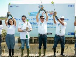 BRImo FSTVL: Menanam 33 Ribu Pohon Mangrove