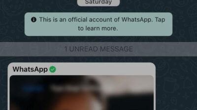 Fitur Baru WhatsApp Diklaim Membantu Orang Dalam Hubungan Rahasia