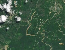 Penampakan Hutan Kalimantan dari Satelit NASA: IKN Jokowi Wiratom Disorot