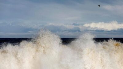 Peneliti Menemukan Tsunami Dahsyat dengan Tinggi Gelombang 24 Meter yang Mengancam Amerika Serikat