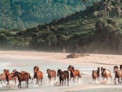 Lokasi Penemuan Dunia yang Hilang di Wilayah RI yang Membuat Heboh