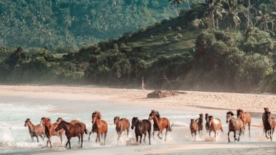 Lokasi Penemuan Dunia yang Hilang di Wilayah RI yang Membuat Heboh