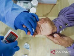Makanan Terlarang bagi Pengidap Diabetes: Temuan Menjanjikan