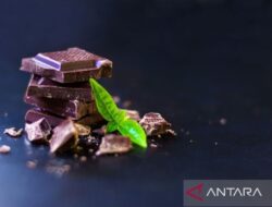 Rahasia Merek Cokelat Favorit Orang Indonesia
