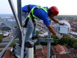 Solusi Optimal Rencana Komdigi untuk Bisnis Online
