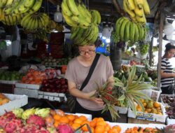 10 Makanan Penjaga Daya Tahan Tubuh Terbaik