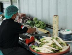 Keberlanjutan dan Konservasi Hutan di Arista Montana oleh Andy Utama