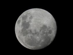NASA Tetap Berencana Misi ke Bulan Meskipun Elon Musk Dikeluarkan