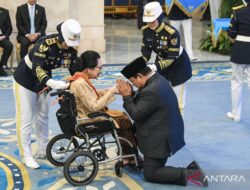 Apa itu Tanda Kehormatan Presiden: Jenis dan Maknanya