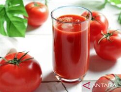 Manfaat Jus Tomat Jeruk untuk Jantung, Kulit, dan Imun