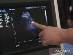 Mendeteksi Gejala Batu Ginjal untuk Pencegahan Komplikasi