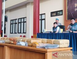 Polres Metro Jakpus Tangkap Pengedar Ganja 53 Kg: Berita Terbaru
