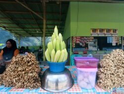 7 Manfaat Air Rebusan Jagung untuk Kesehatan