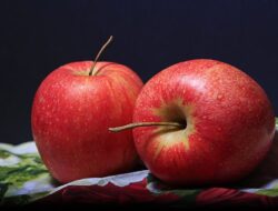 10 Obat Kuat Alami untuk Vitalitas dan Kesehatan Optimal