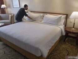 5 Tanda Kutu Kasur Telah Bersarang di Tempat Tidur Anda: Waspadai Gejalanya!