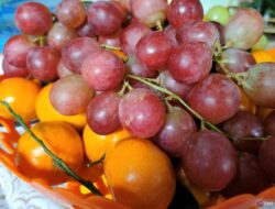 10 Makanan Super untuk Tingkatkan Imunitas Tubuh Anda
