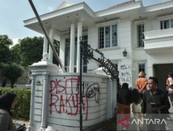 Sang Anak Nakal di Rumah Uya Kuya: Kisah Curi Kucing dan Sofa