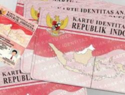 Fungsi dan Proses KTP Pink: Semua yang Perlu Anda Ketahui